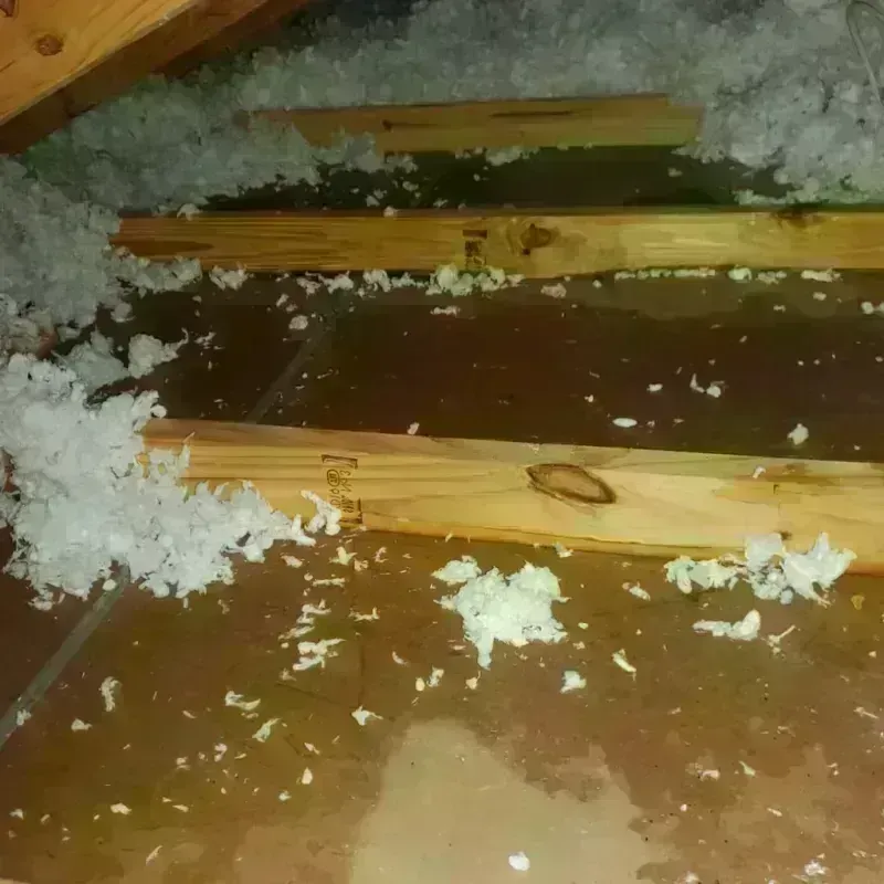 Attic Water Damage in Upper Grand Lagoon, FL